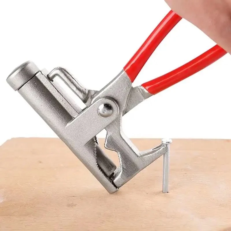 1679031277281150.jpg 1.jpg