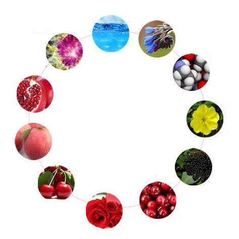 1685338805701961.jpg b4518db7-9e6a-4287-9af3-cd6d36683292.jpg